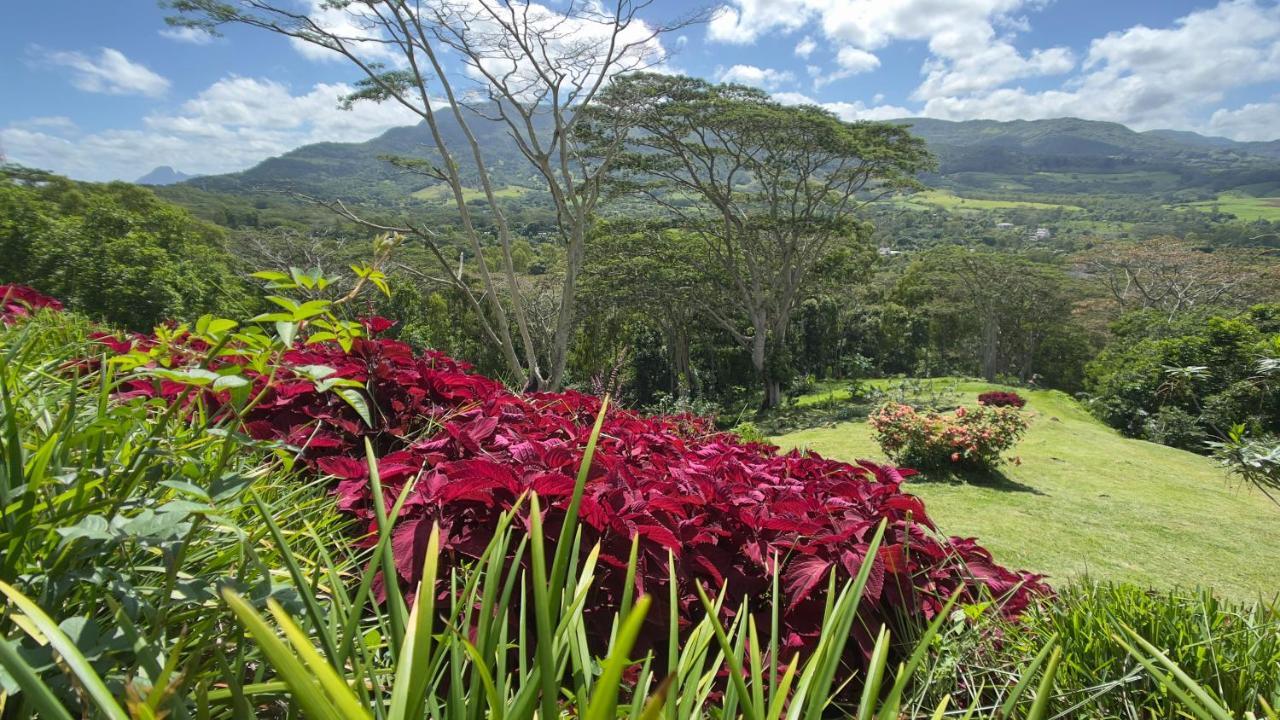 Green Cottage Chamarel Buitenkant foto