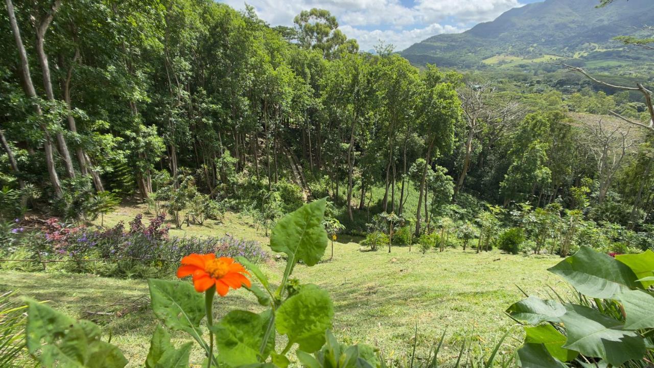 Green Cottage Chamarel Buitenkant foto